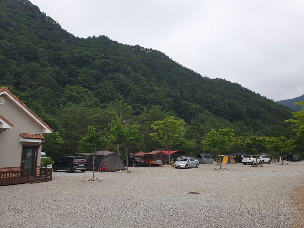 왕피천하늘담야영장_전경