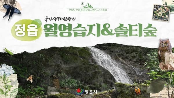 📍 SNS에서 화제! 정읍 월영습지·솔티숲 생태관광지... 전북에 숨은 핫플레이스!