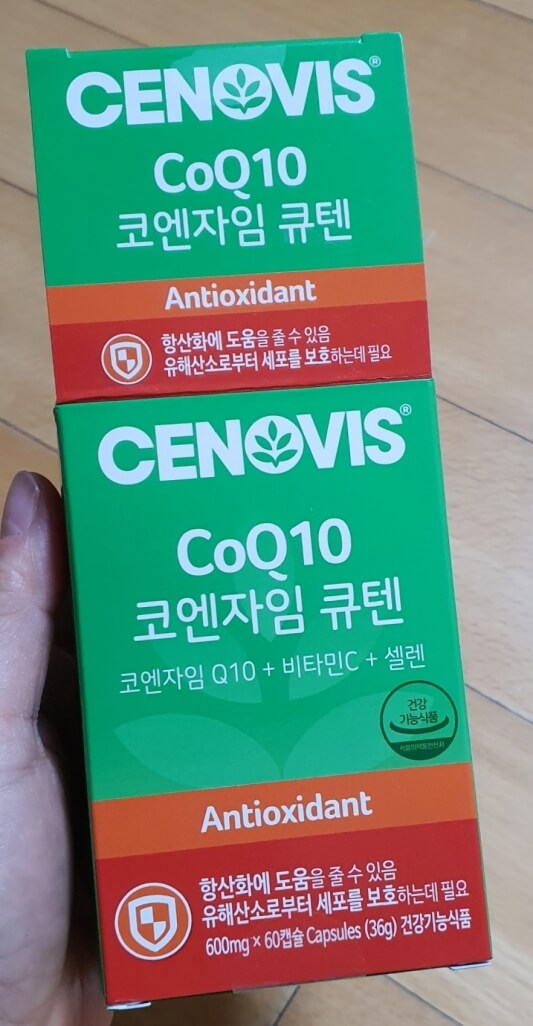 박스 사진