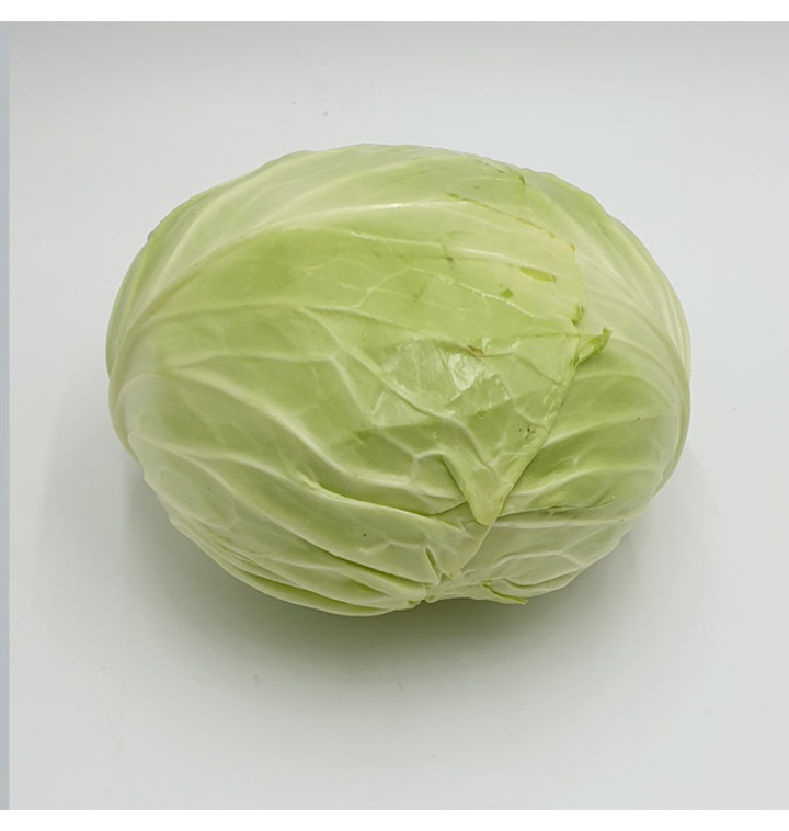 양배추