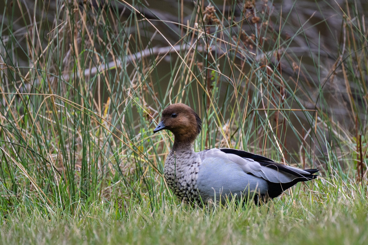 6.27 부동산 대책 대출규제