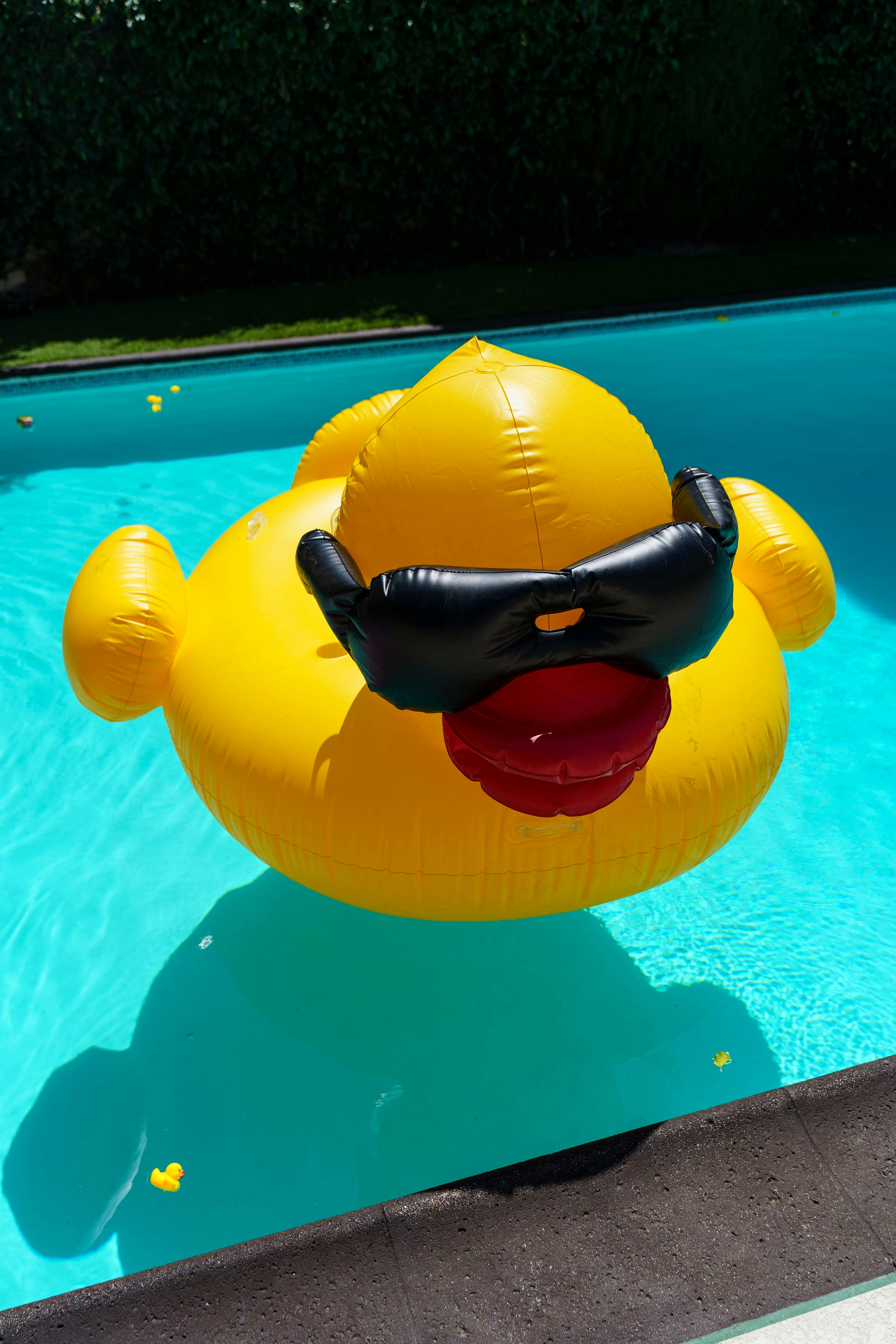 돌아기랑 나들이 가기 전 체크리스트 완성