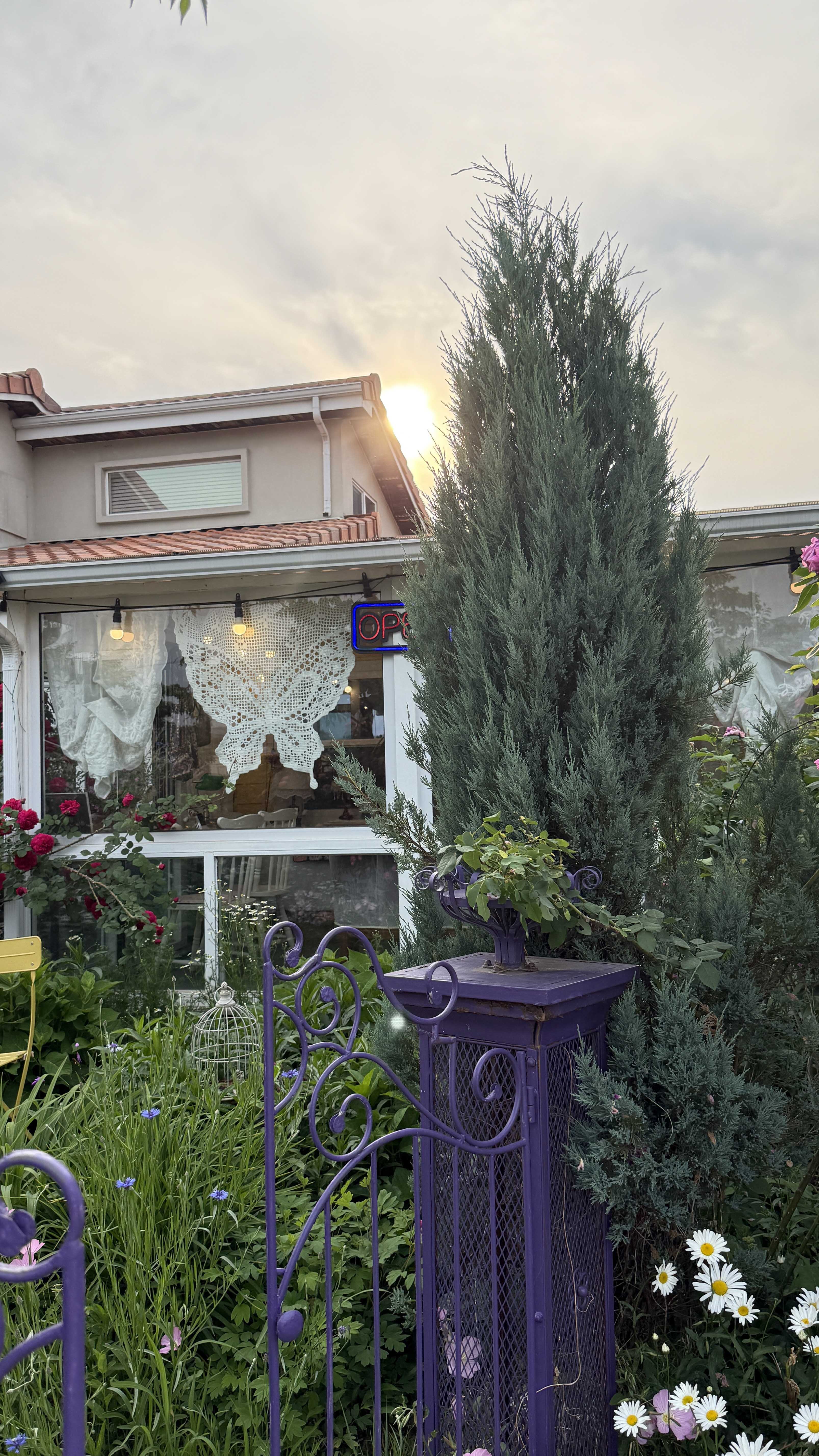 용인장미정원카페