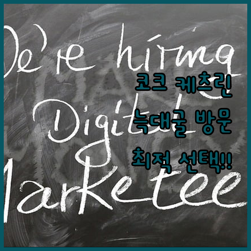 케츠린 호텔 코크, 늑대굴 방문객을 ..