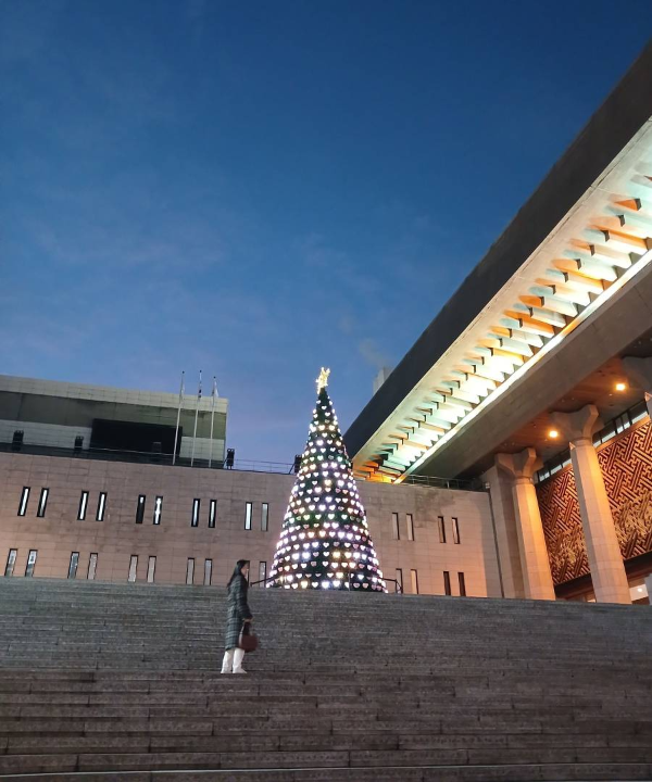 세종문화회관 트리