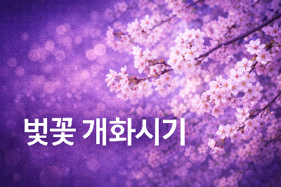 벚꽃개화시기 지역별 예상