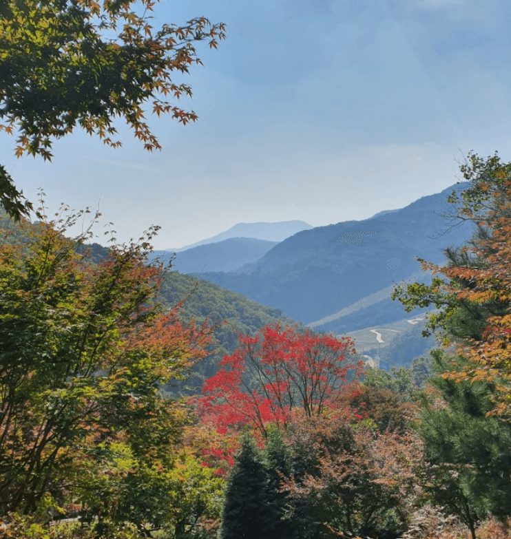 단풍축제 화담숲