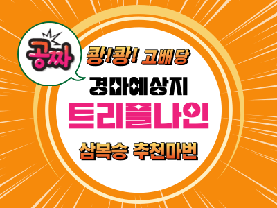 고배당 삼복승 추천마권 트리플나인 무료 경마예상지