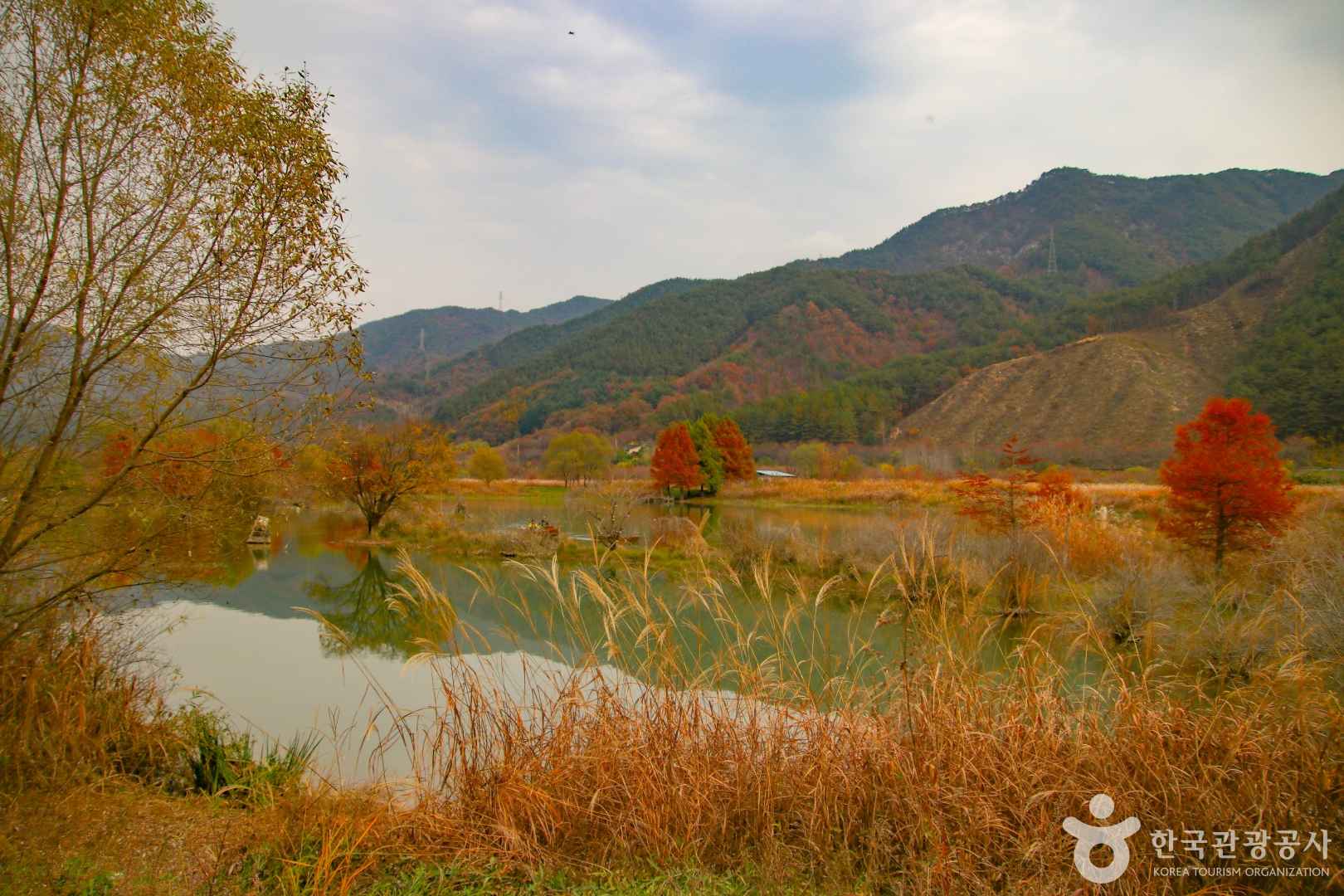 용담호