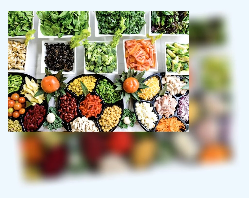 고양이 사료 선택_3_subsection