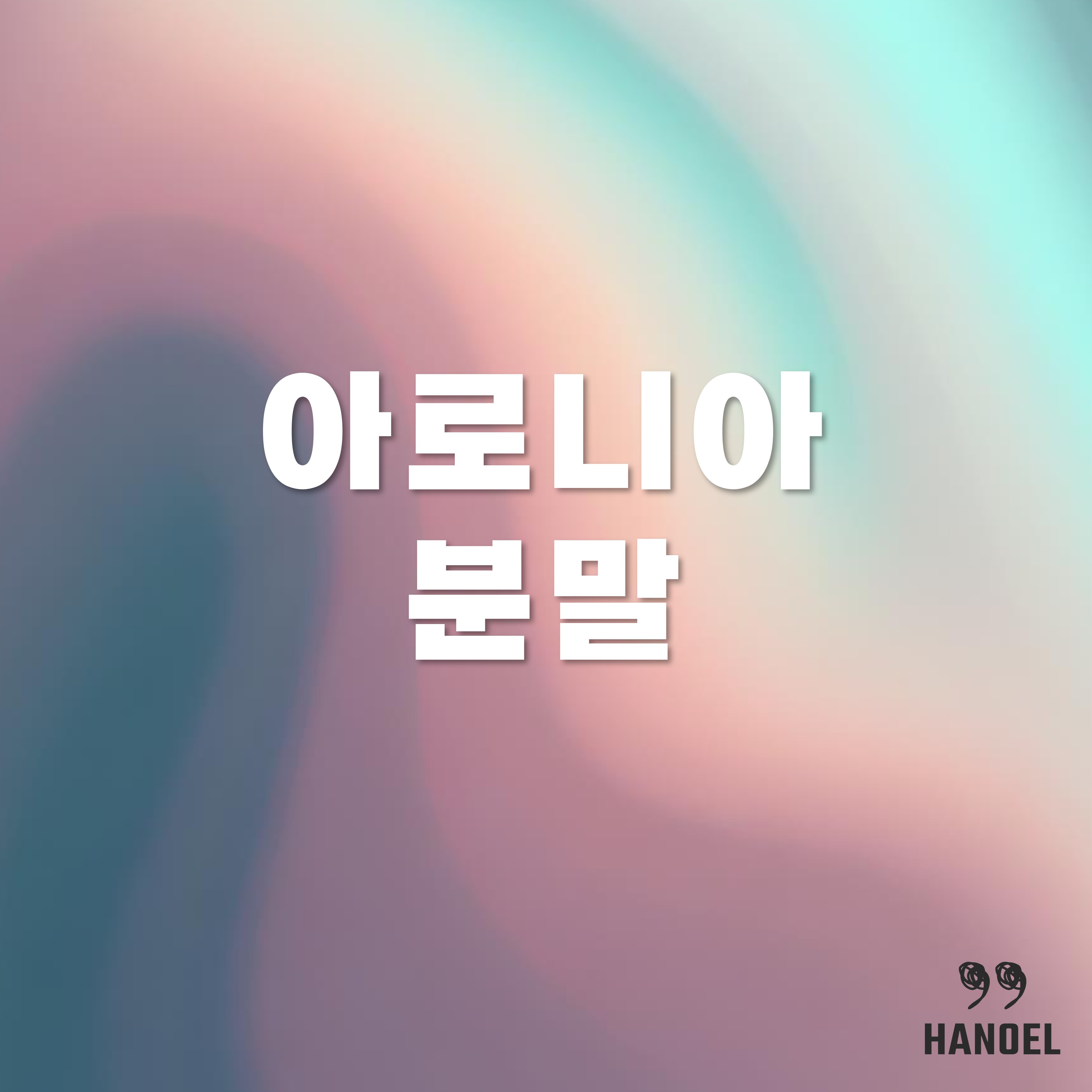 아로니아 분말 복용법과 체중감소 효능