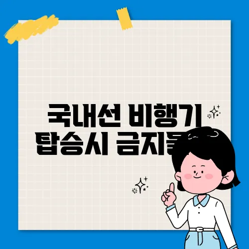 국내선 비행기 탑승시 금지물품