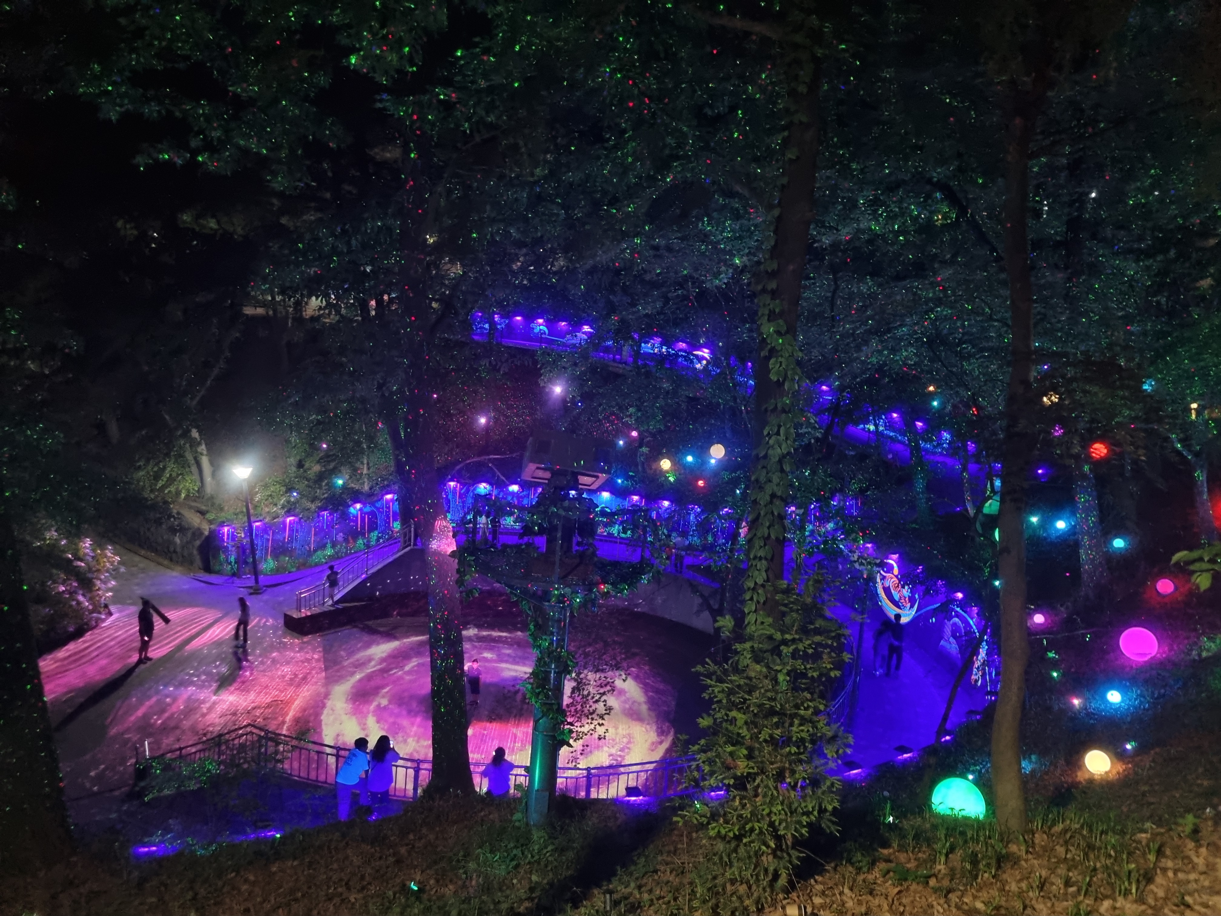 사직공원 빛의숲