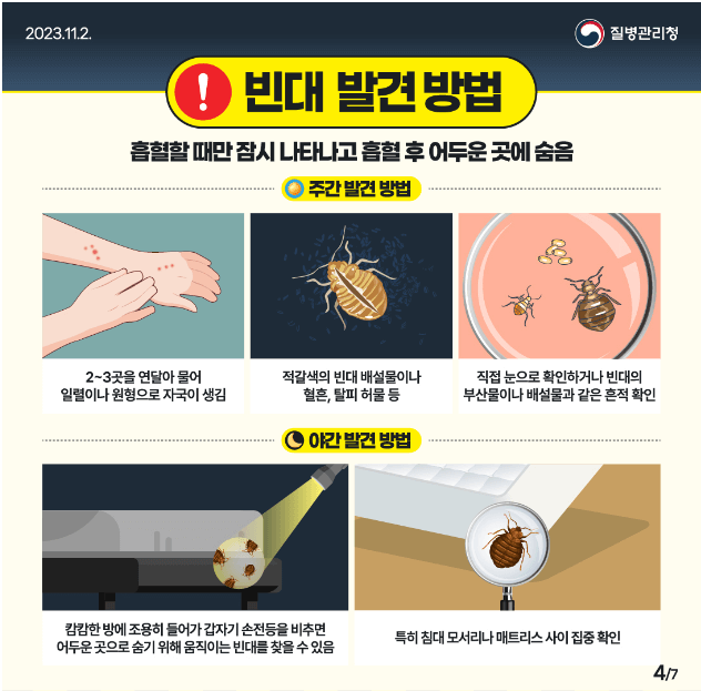 빈대 발견방법