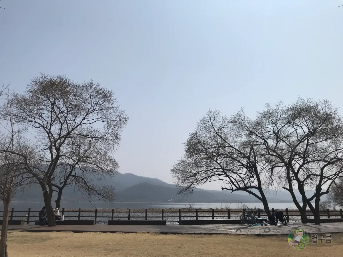 두물머리-역사공원-힐링포인트-나무-사이-데크가-있다