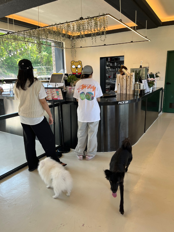 꾸마_멍리버_애견카페