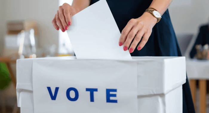 제21대 대선 재외국민 투표