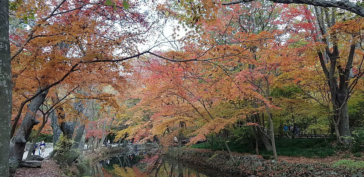 서울 단풍 명소