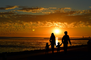 자기 계발 & 생산성