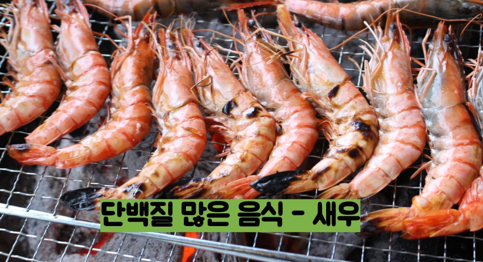 단백질 많은 음식