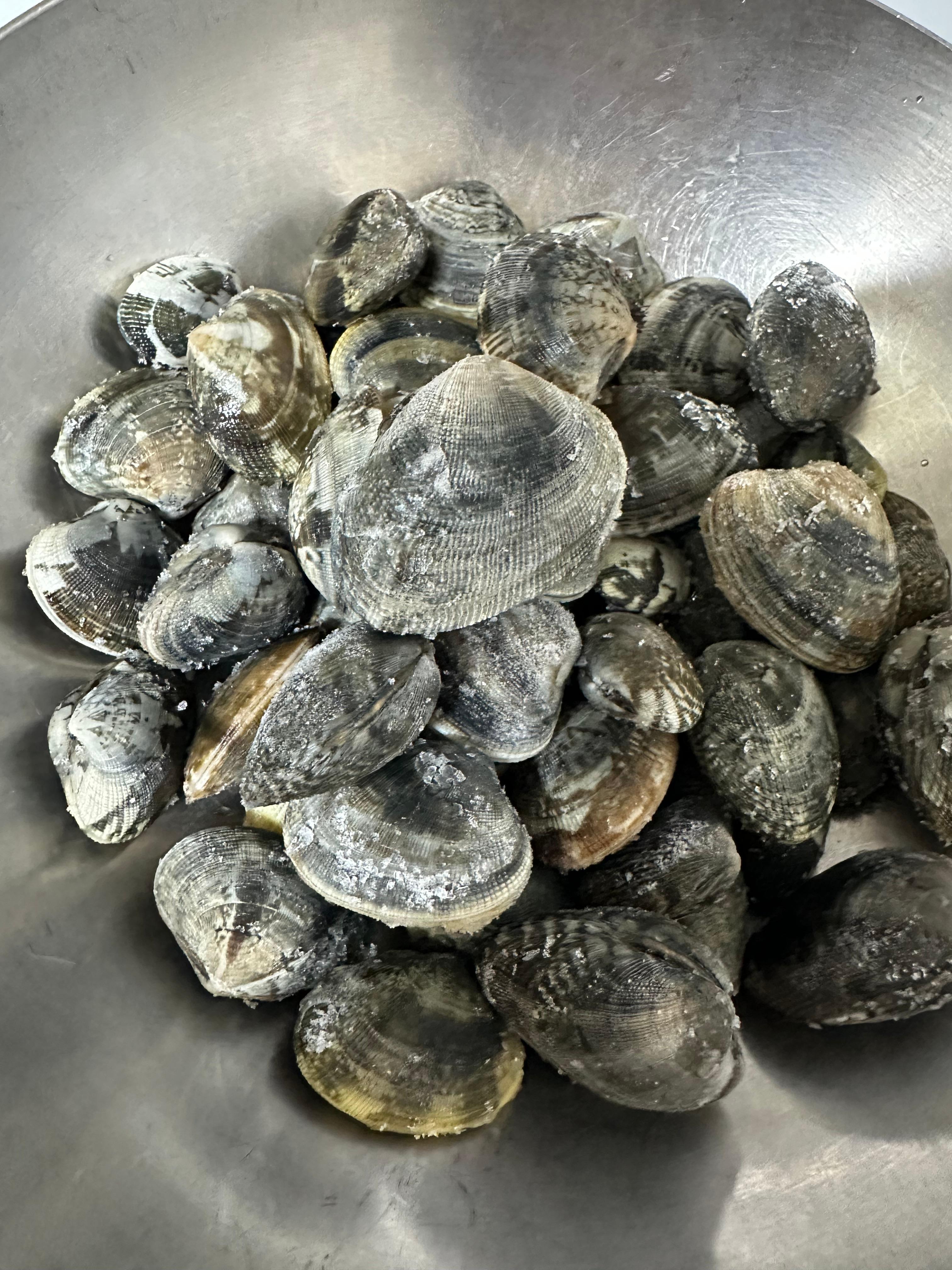 Super Simple Clam Soup Recipe(Healthy clam soup, fresh clams and horn snails, ultra-simple and light, full of rich ocean flavor, mudflat experience in Muchangpo, Boryeong, South Chungcheong, boiling horn snails and small clams, healthy homemade meal, easy soup recipe)