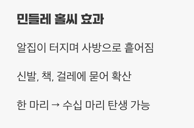 '터뜨리기'가 부르는 끔찍한 대참사