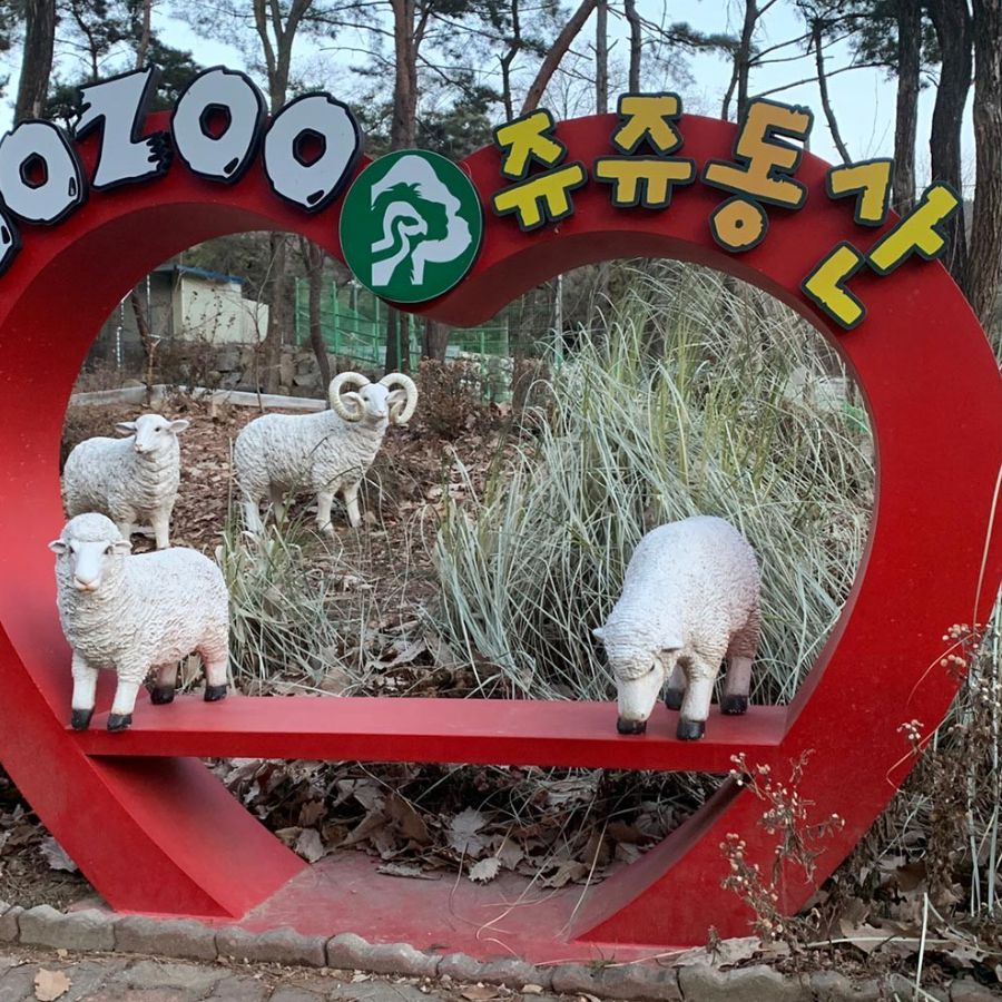 쥬쥬동산