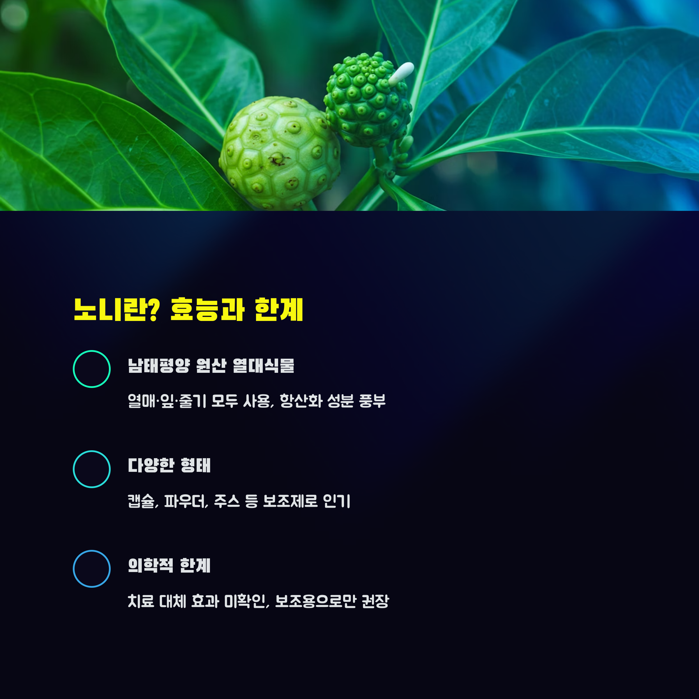 노니 캡슐 부작용 없이 안전하게 먹는 법 (2)