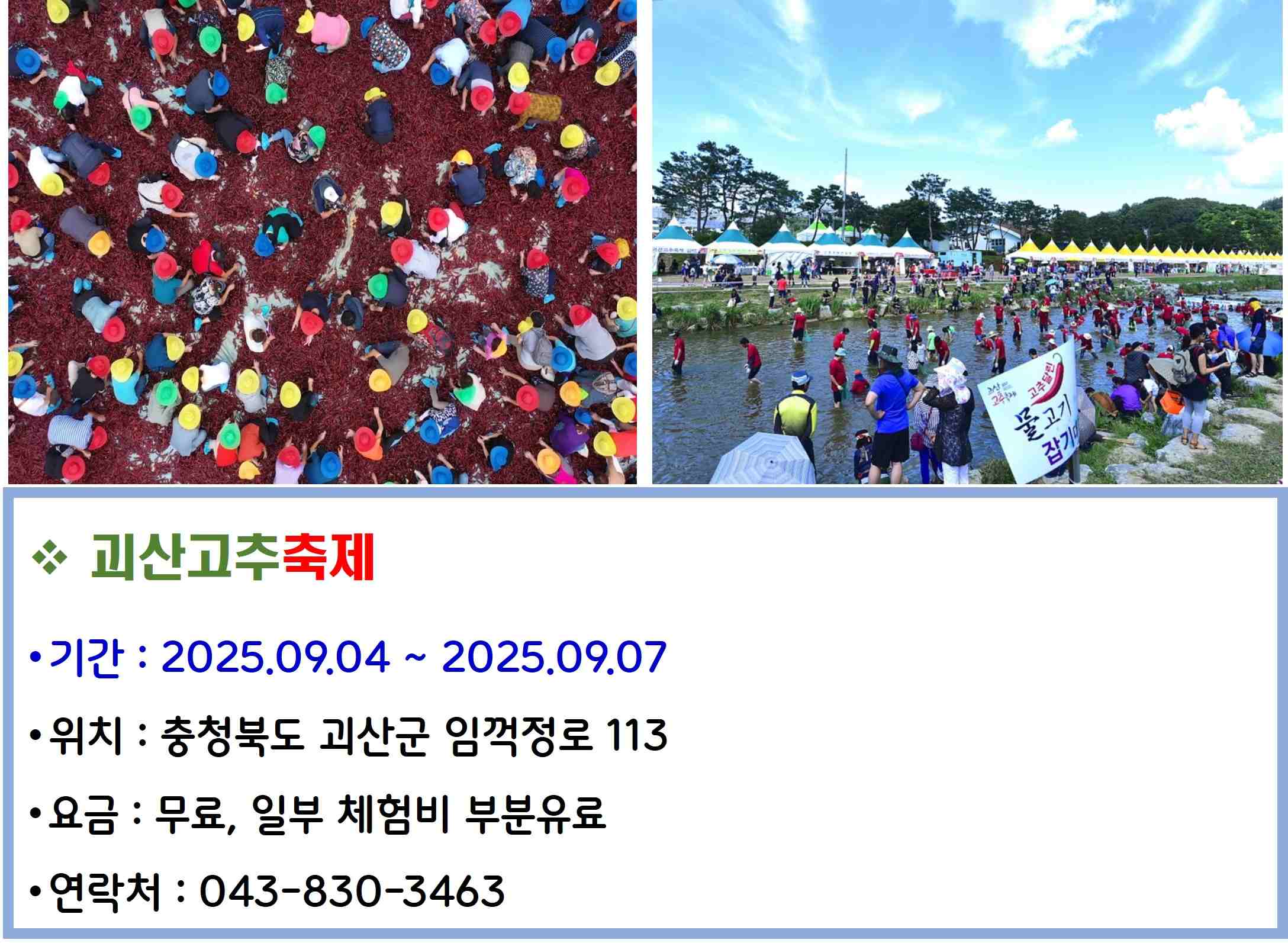 괴산고추축제