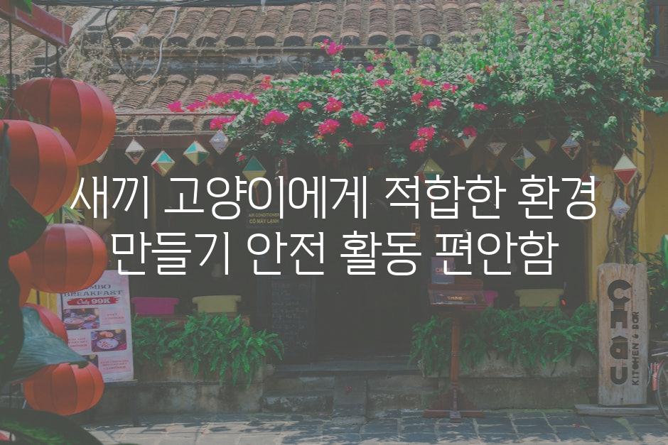새끼 고양이에게 적합한 환경 만들기 안전 활동 편안함