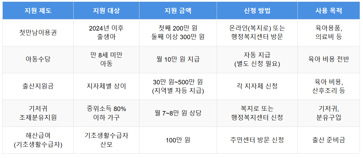 첫만남이용권과 주요 출산 지원 제도 비교