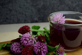 우엉차 효능 10가지 및 부작용