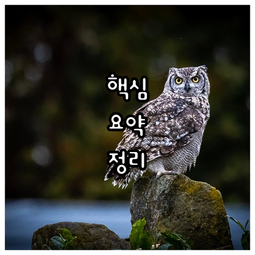 미국 ESTA, 이것 모르면 21달러..
