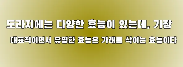 도라지에는 다양한 효능이 있는데, 가장 대표적이면서 유명한 효능은 가래를 삭이는 효능이다
