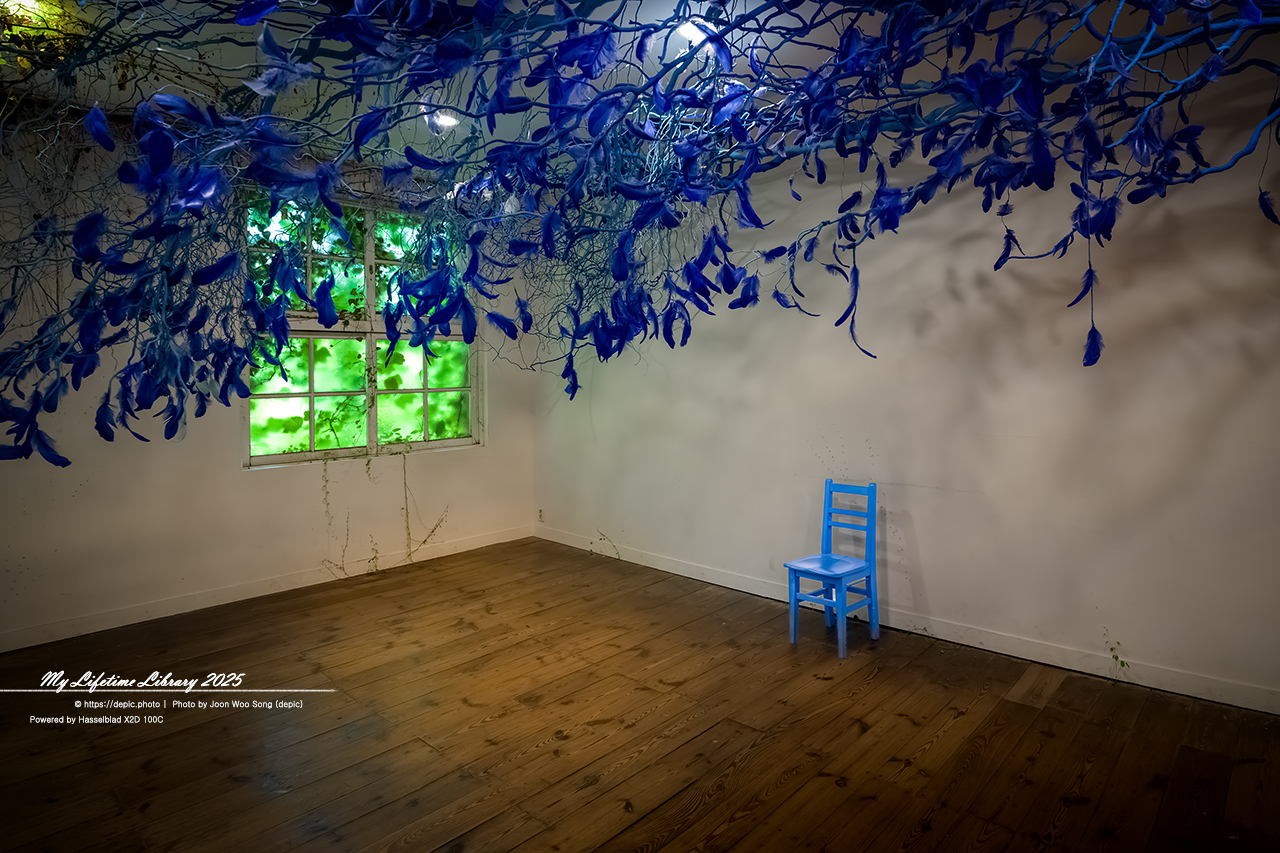 #당진 #예술 #아미미술관 #폐교 #미술관