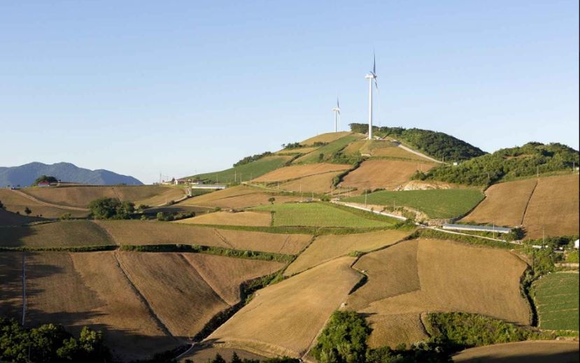 강릉 겨울여행 아이와 가볼만 한 곳 best3