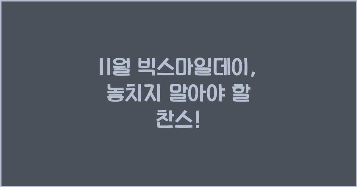 11월 빅스마일데이