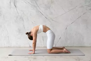 허리-협착증에-좋은-운동