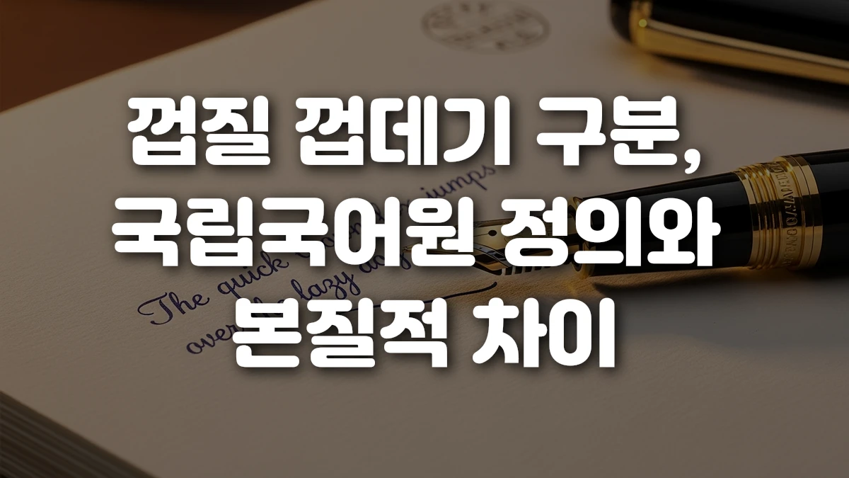 껍질 껍데기 구분 국립국어원 정의와 본질적 차이