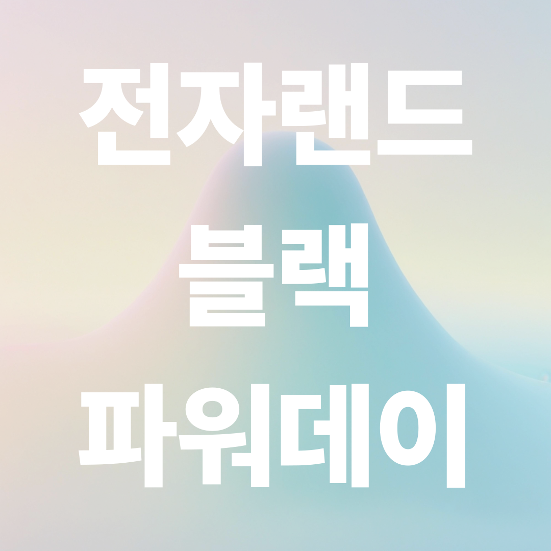 전자랜드 블랙파워데이