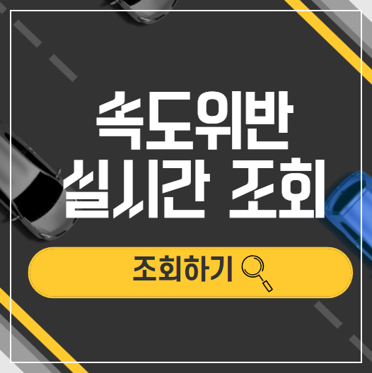 속도위반 실시간 조회 방법