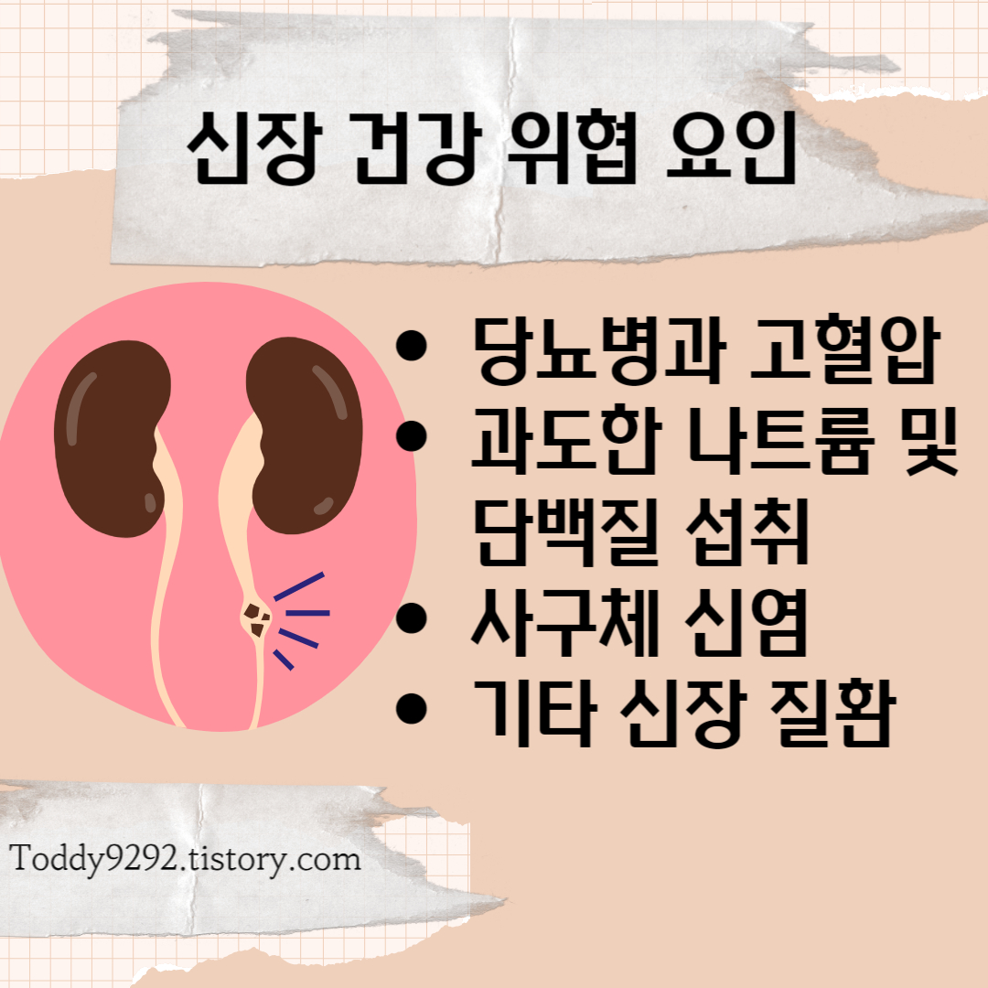 신부전 원인
