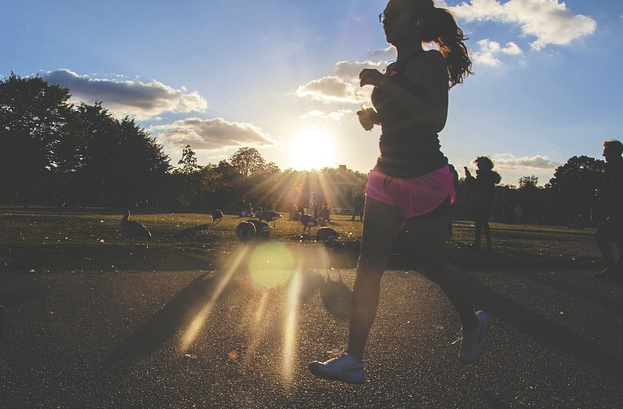 아침햇살아래 조징