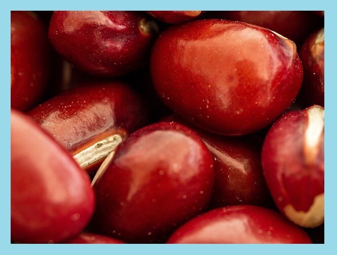 팥-알갱이-확대