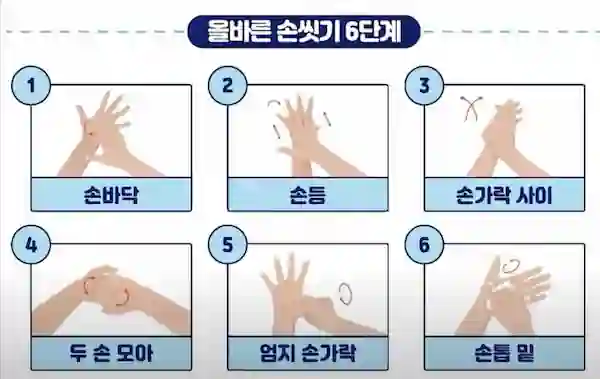 올바른 손씻기 6단계