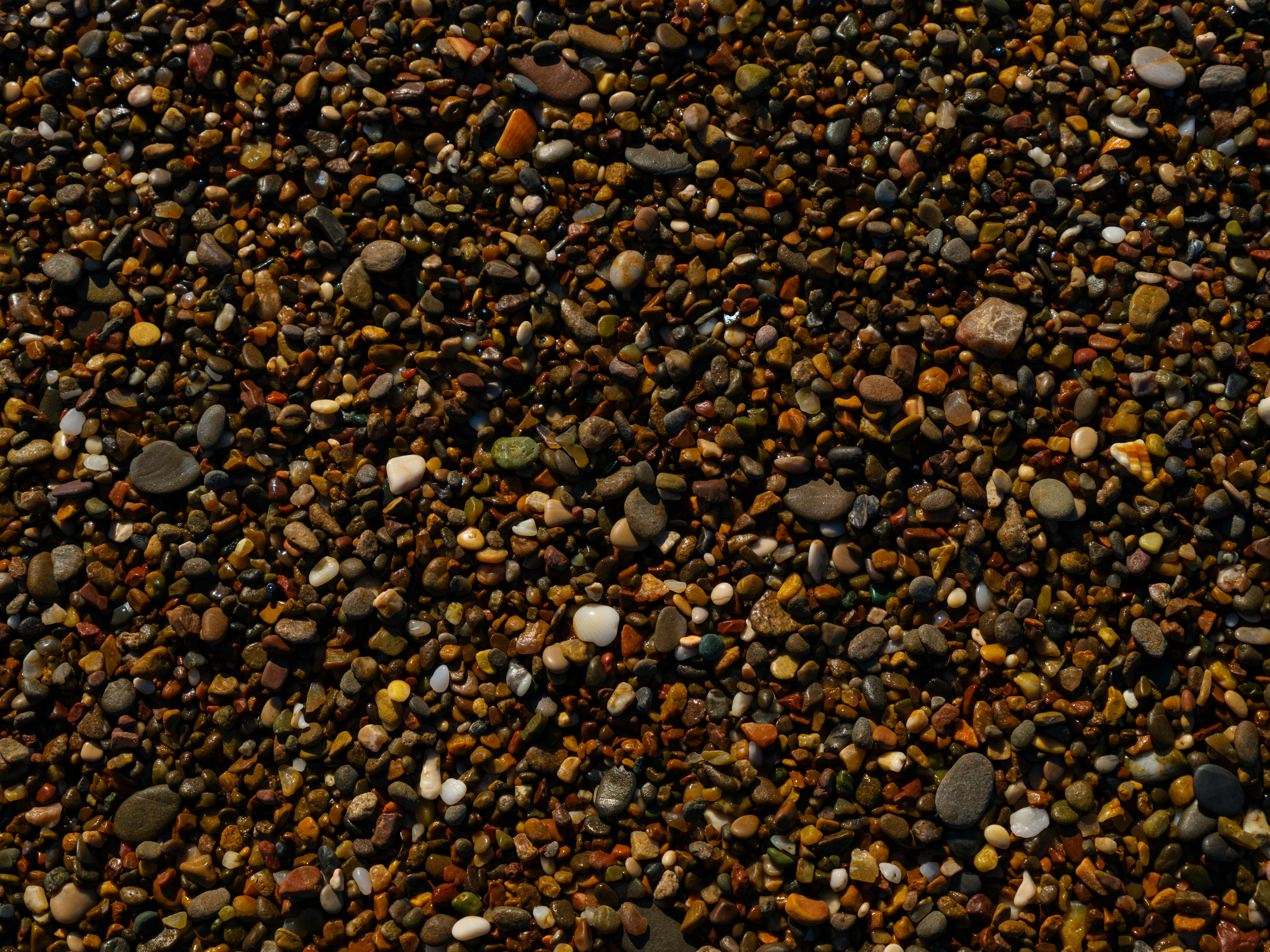 여러 마리 강아지가 물에 빠지는을 상징하는 이미지