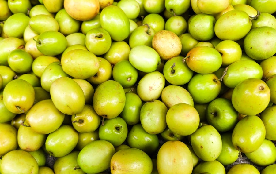 11월 제철 과일 대추 효능 보관법