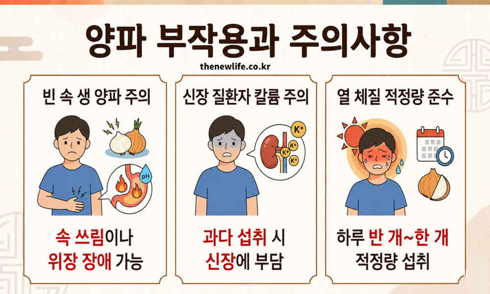 양파 효능 부작용 주의사항
