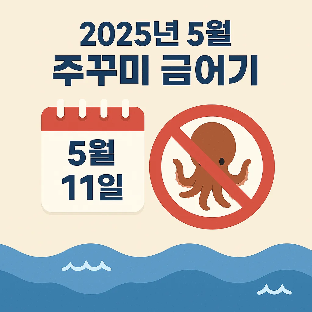 2025년 주꾸미 금어기 시작일을 알리는 금지 안내 이미지
