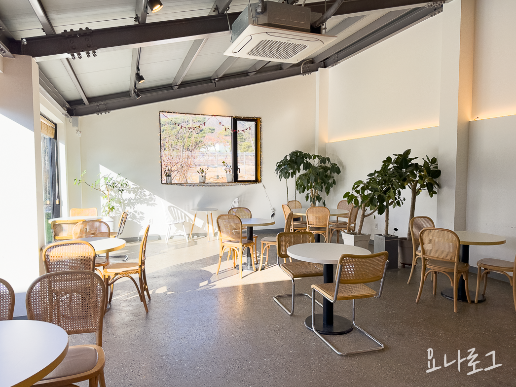 도넛맛집 도넛드로잉 드로잉도넛 판교도넛 미금도넛 분당도넛 판교카페 판교카페추천 미금카페 미금카페추천 분당카페 분당카페추천 분당브런치 판교브런치 브런치카페추천 초코도넛 피넛도넛 라즈베리도넛 우유생크림도넛